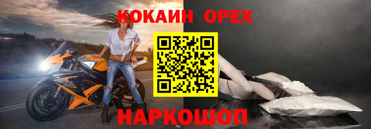 Cocaine Fish Scale  Вход с VPN  Богданович 