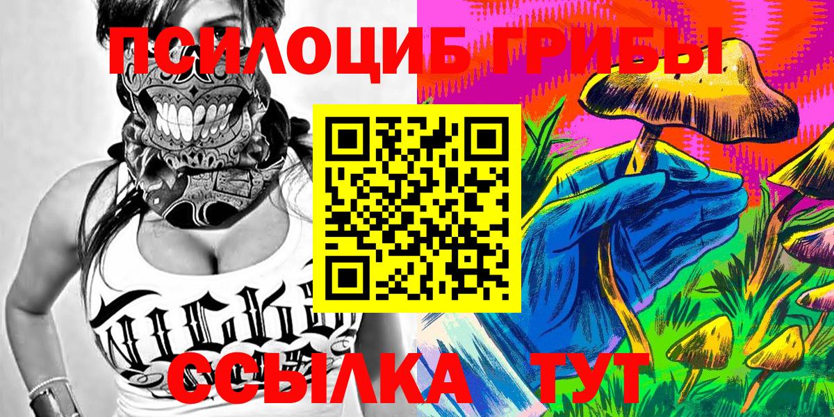 Псилоцибиновые грибы Psilocybe Богданович