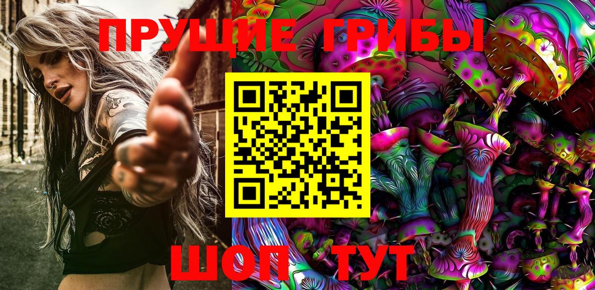 Псилоцибиновые грибы ЛСД  Вход с VPN  Богданович  Псилоцибиновые грибы GOLDEN TEACHER 