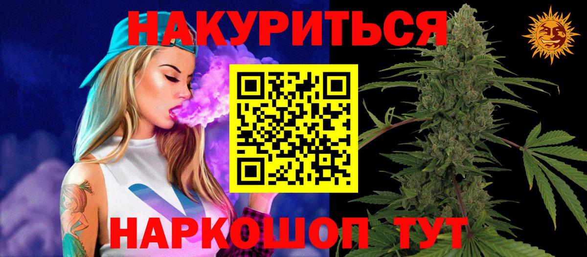Канабис сатива Богданович